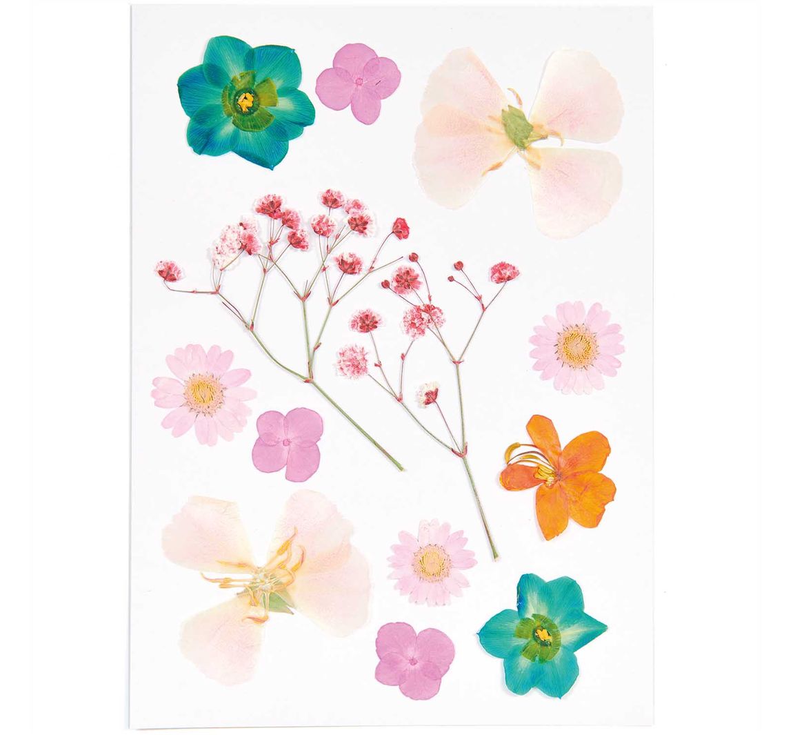 Rico Design Mix Set gepresste Blüten 'Orange Türkis'