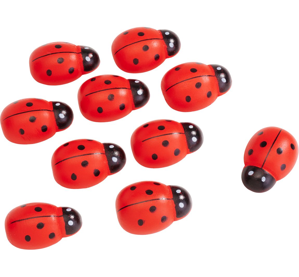 VBS Holz-Marienkäfer 'Maxi'