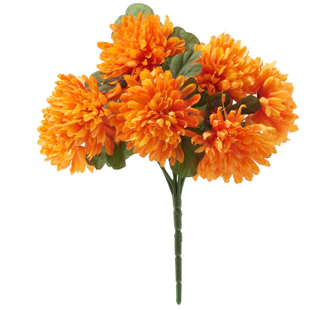 Chrysanthemen Bund 'Lola'