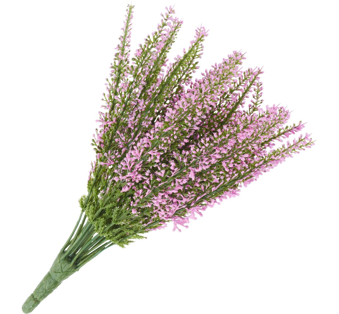 Erika, 24 Blütenstränge, L 26cm - Pink