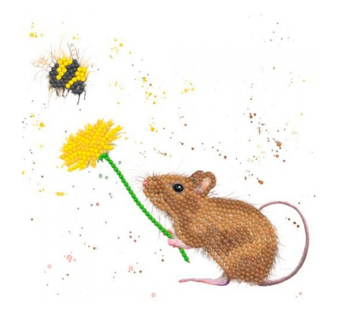 Maxi-Karten-Set 'Diamonds' - Bashful and Bumble