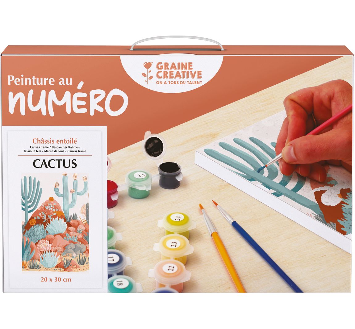 Malen nach Zahlen, Keilrahmen - Cactus
