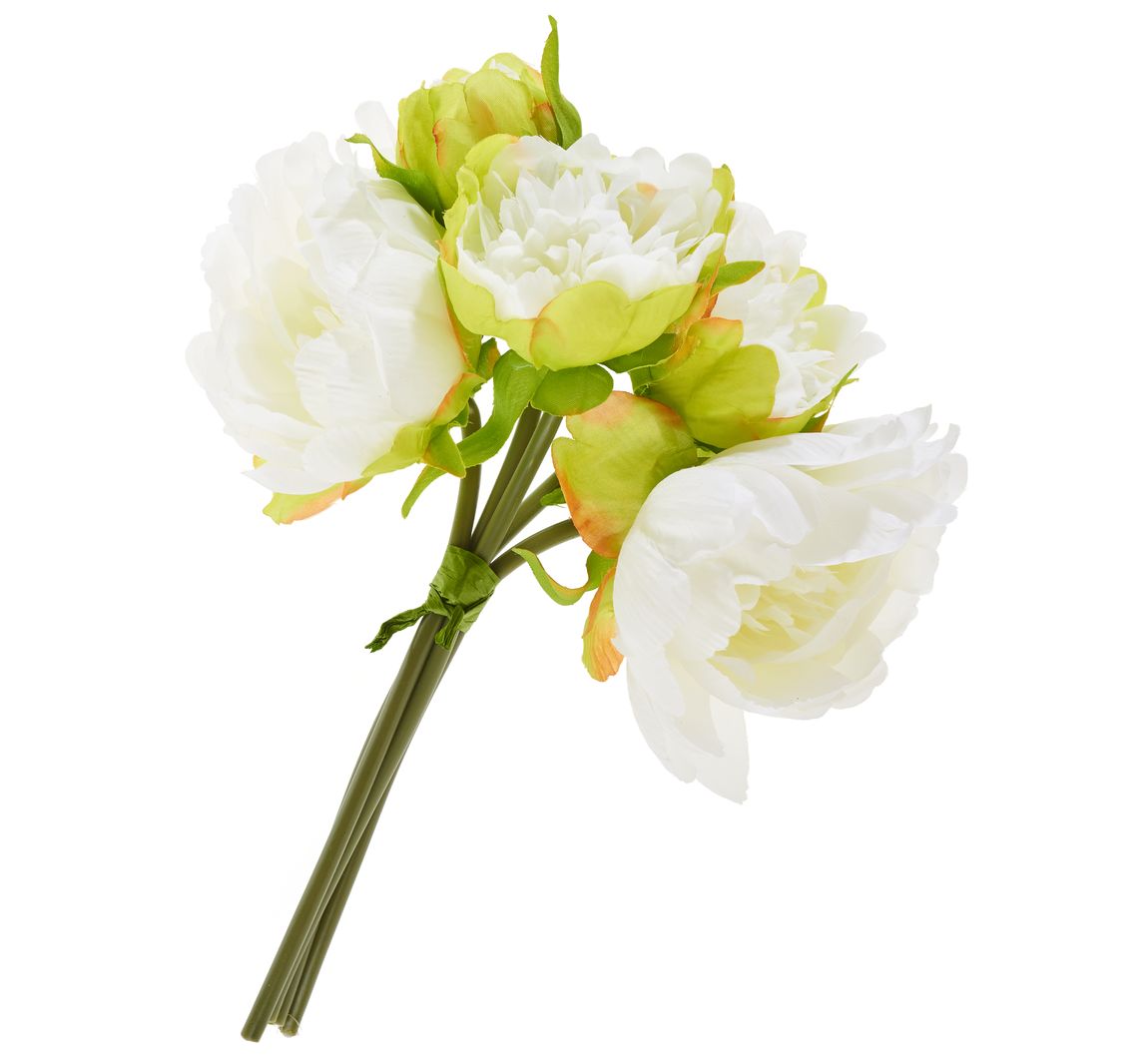 Pfingstrosen-Bund mit 5 Blüten - Cream