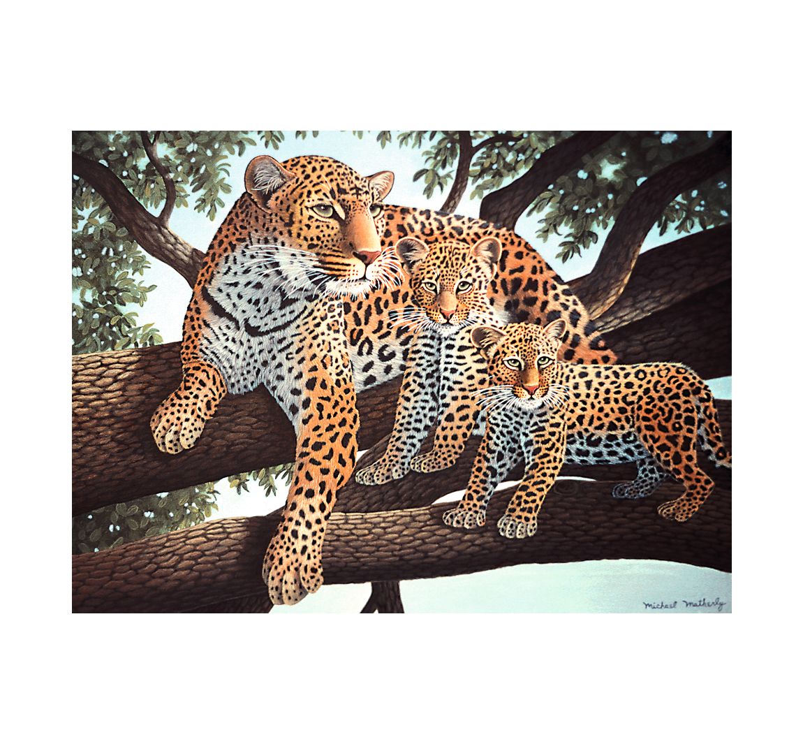 Malen nach Zahlen 'Leoparden'