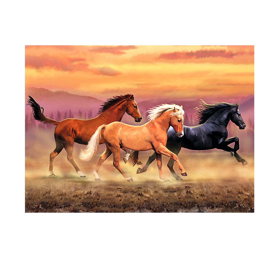 Malen nach Zahlen 'Freiheit'