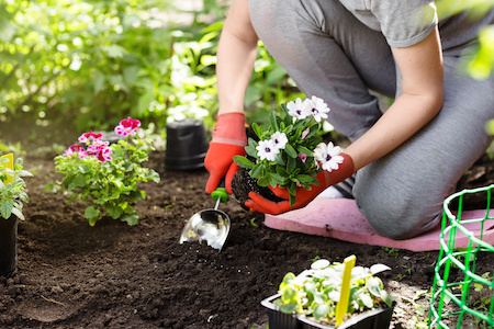 Garten und Pflanzen auf Rechnung kaufen