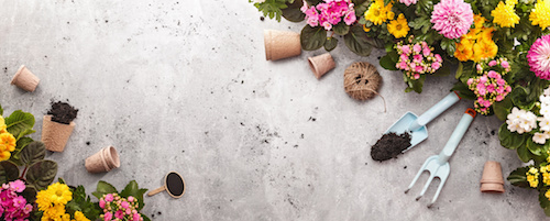 Garten auf Rechnung kaufen