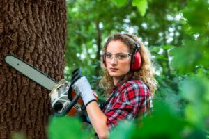 kettensäge auf rechnung kaufen